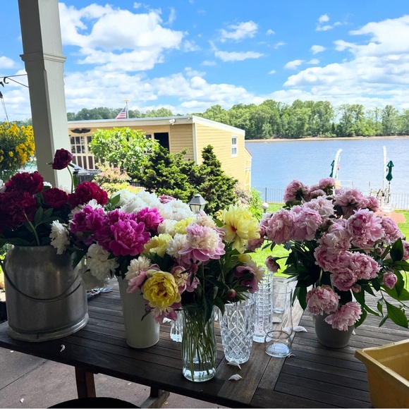 To ship or not to ship…that is the question! - Picture 1 of 1